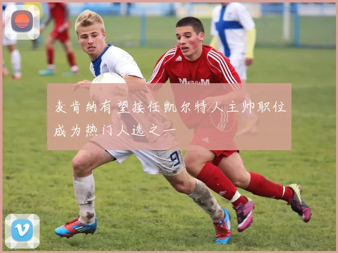麦肯纳有望接任凯尔特人主帅职位成为热门人选之一