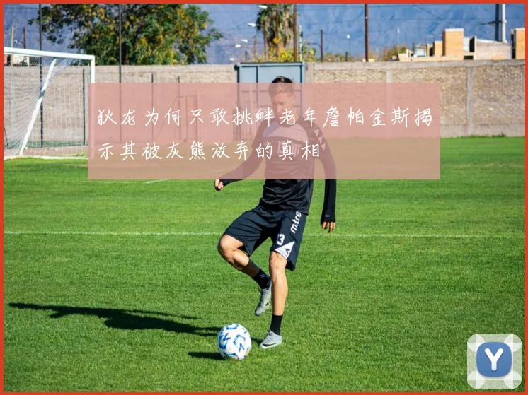 狄龙为何只敢挑衅老年詹帕金斯揭示其被灰熊放弃的真相