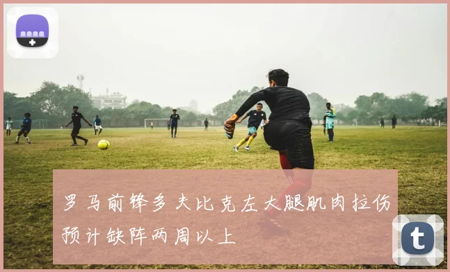 罗马前锋多夫比克左大腿肌肉拉伤预计缺阵两周以上