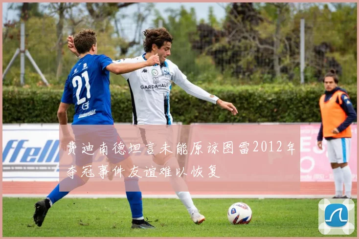 费迪南德坦言未能原谅图雷2012年夺冠事件友谊难以恢复