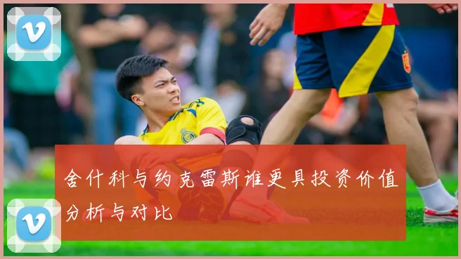 舍什科与约克雷斯谁更具投资价值分析与对比