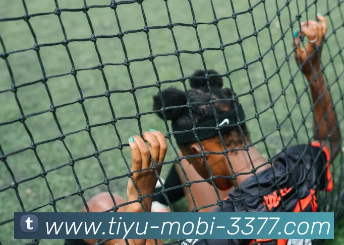 多媒体互动体验