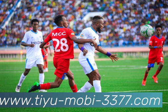 3377体育APP 体育赛事宣传图