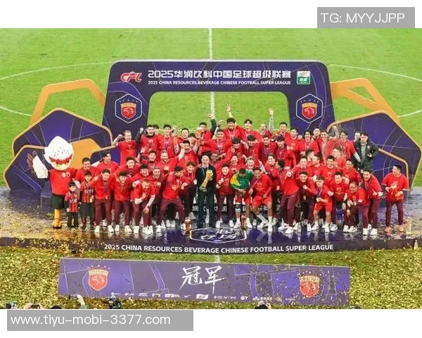 海港夺冠申花屈居亚军梅州亚泰不幸降级中超最终积分榜揭晓 海港夺冠申花屈居亚军梅州亚泰不幸降级中超最终积分榜揭晓